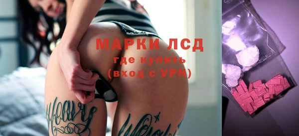 индика Армянск