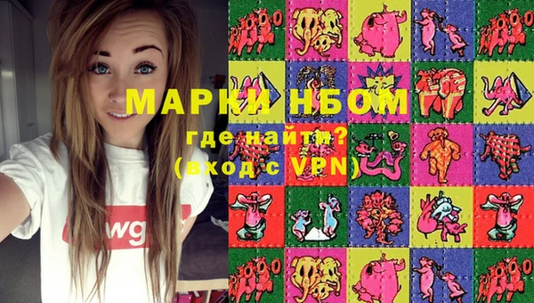 индика Армянск