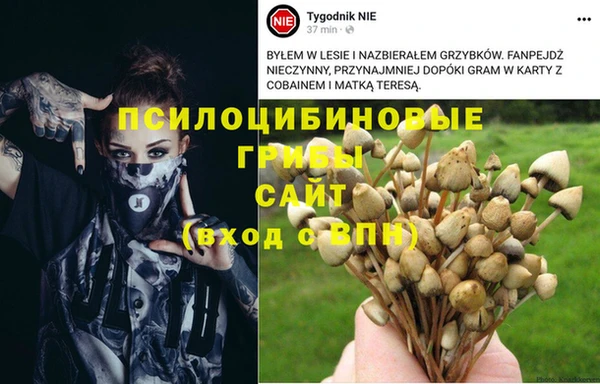 соль ск Арсеньев