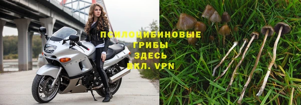 соль ск Арсеньев
