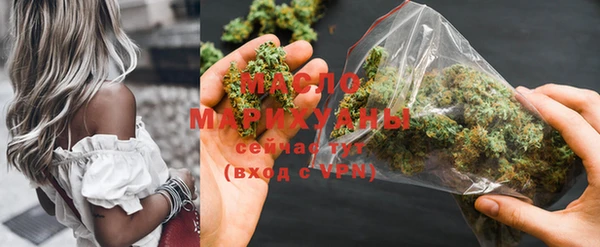 индика Армянск