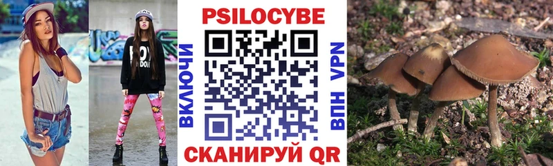 Псилоцибиновые грибы Magic Shrooms Пудож