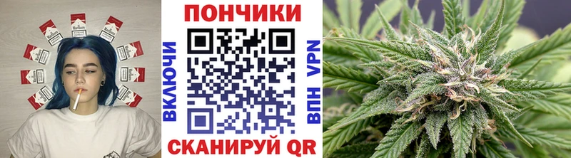 где можно купить наркотик  блэк спрут зеркало  Марихуана MAZAR  Пудож 